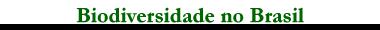 Biodiversidade no Brasil