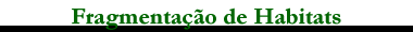 Fragmentação de Habitats