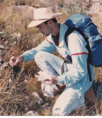 Amostrando capítulos de asteráceas para criar tefritídeos, Serra do Cipó, Minas Gerais, 1989